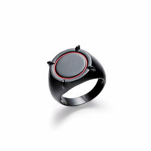 Miracle Ladybug adrien's ring